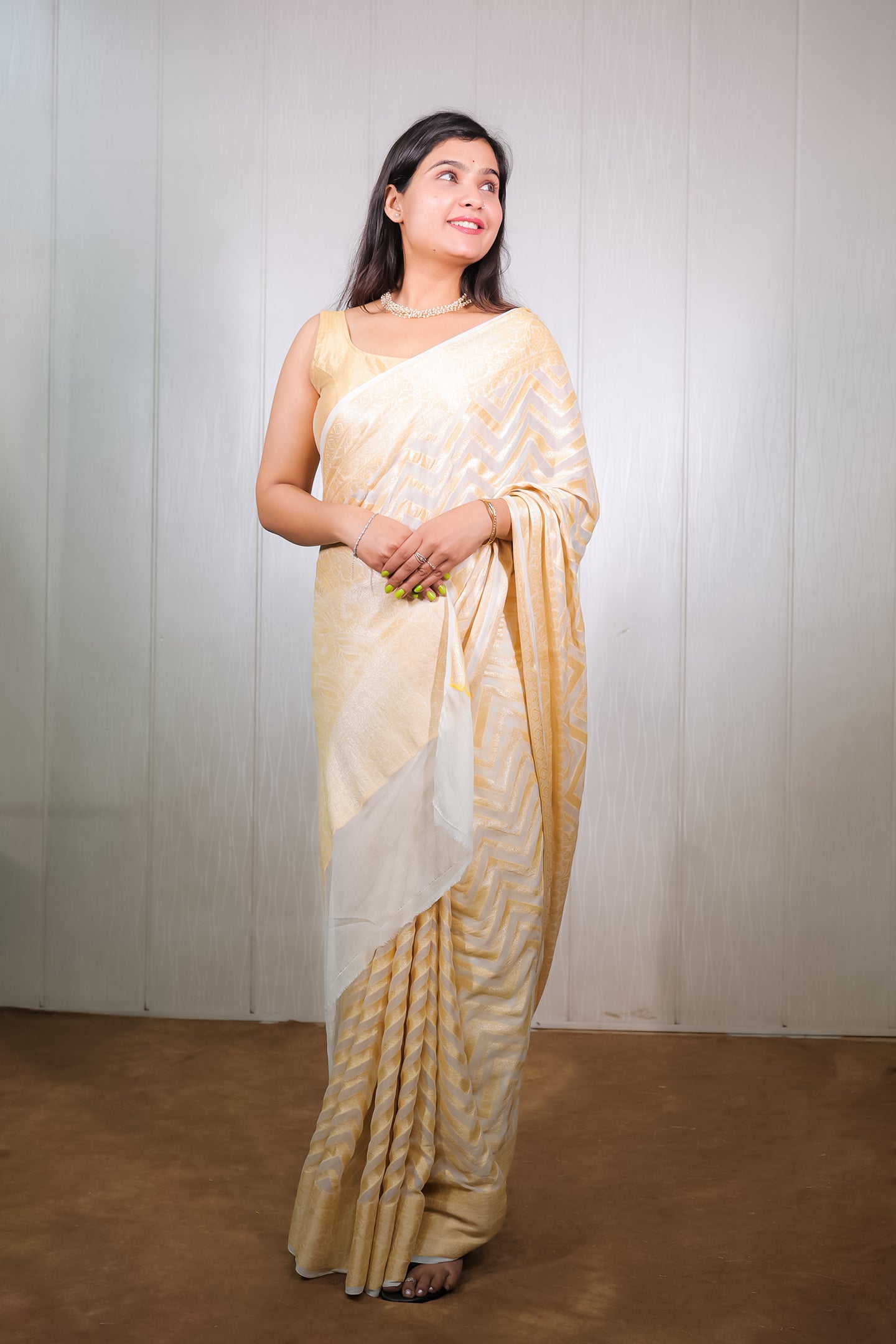 Banarasi Khaddi Chiffon with Resham and Zari