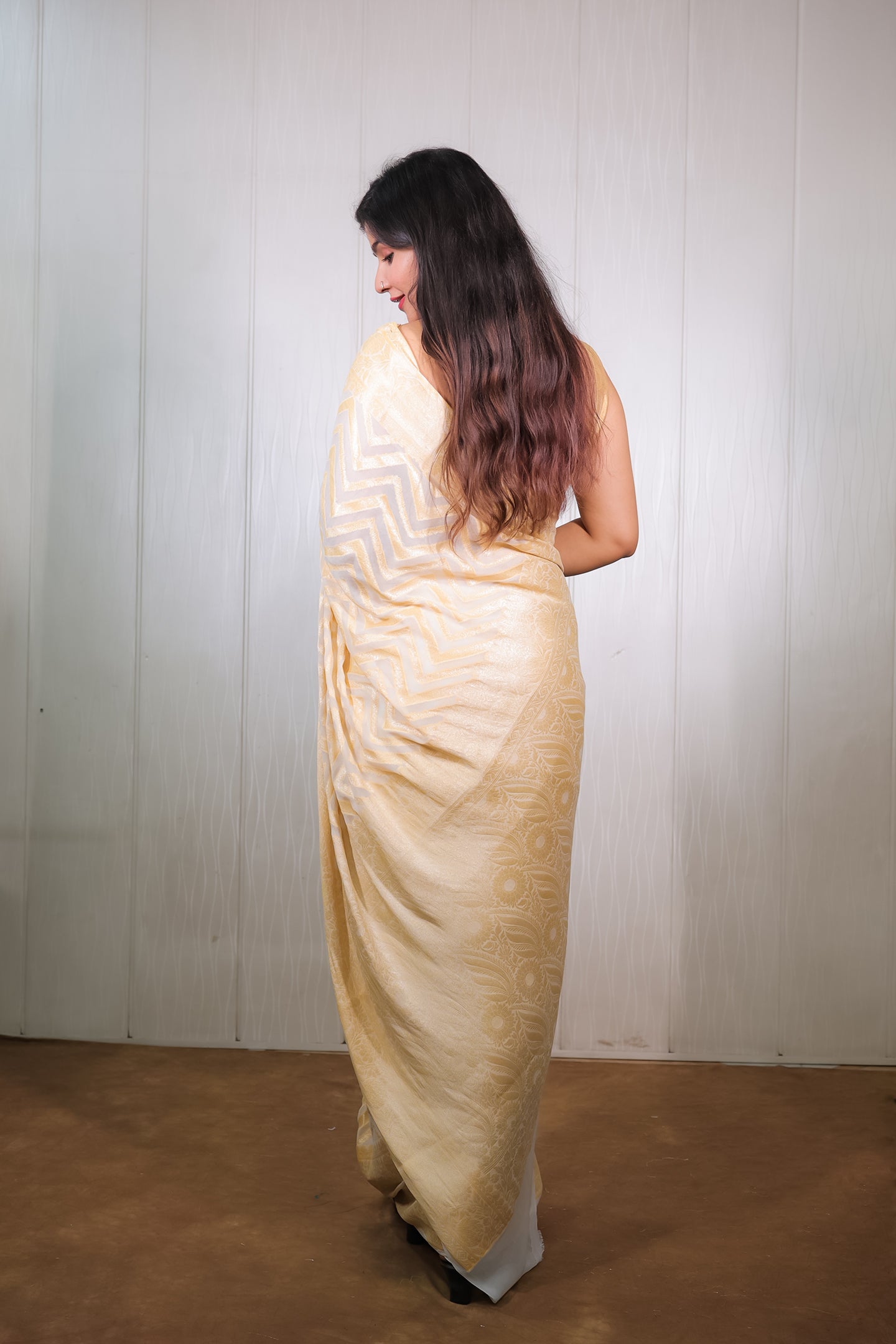 Banarasi Khaddi Chiffon with Resham and Zari