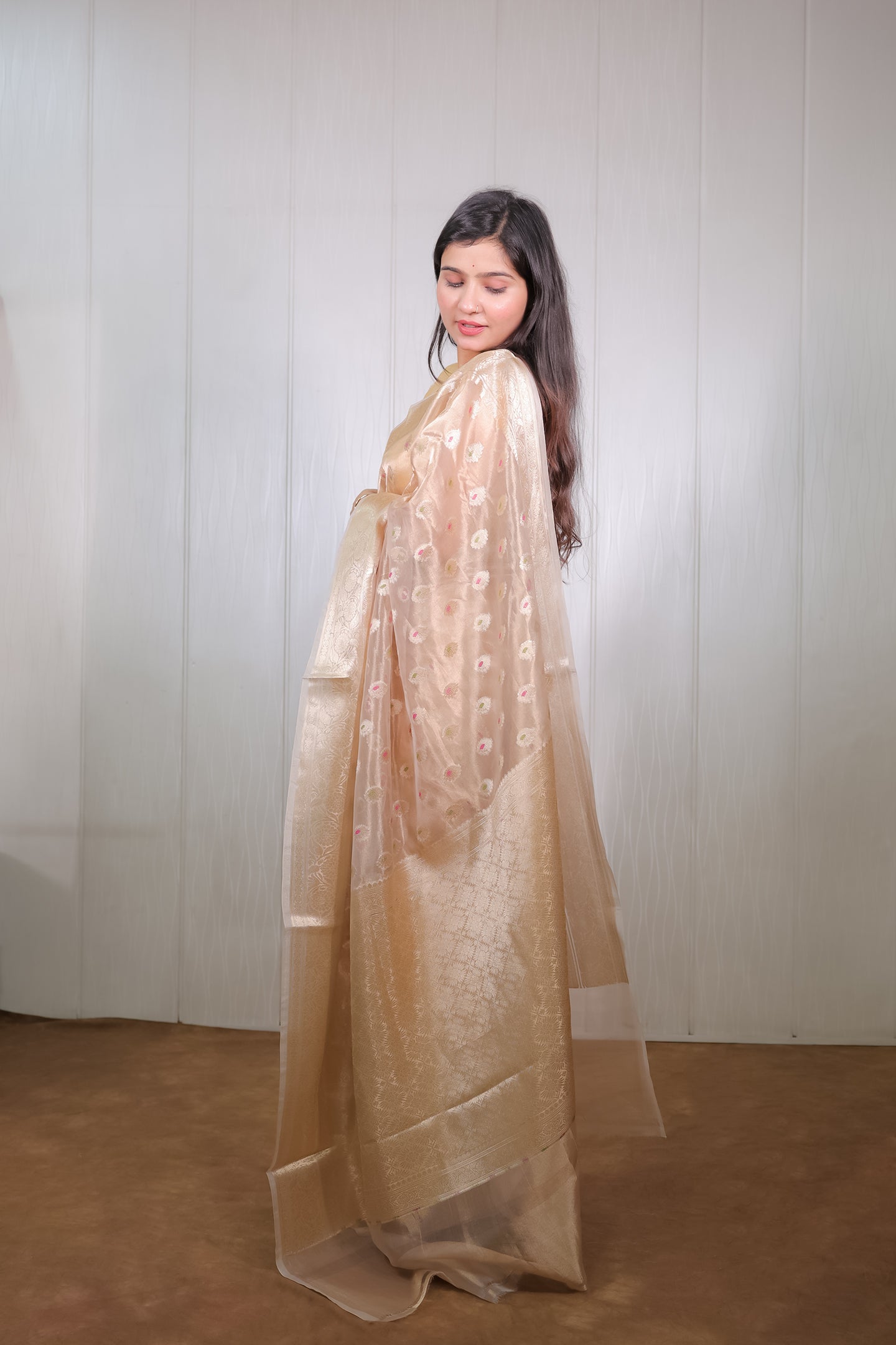 Gold Tissue Colourful Booties Saree