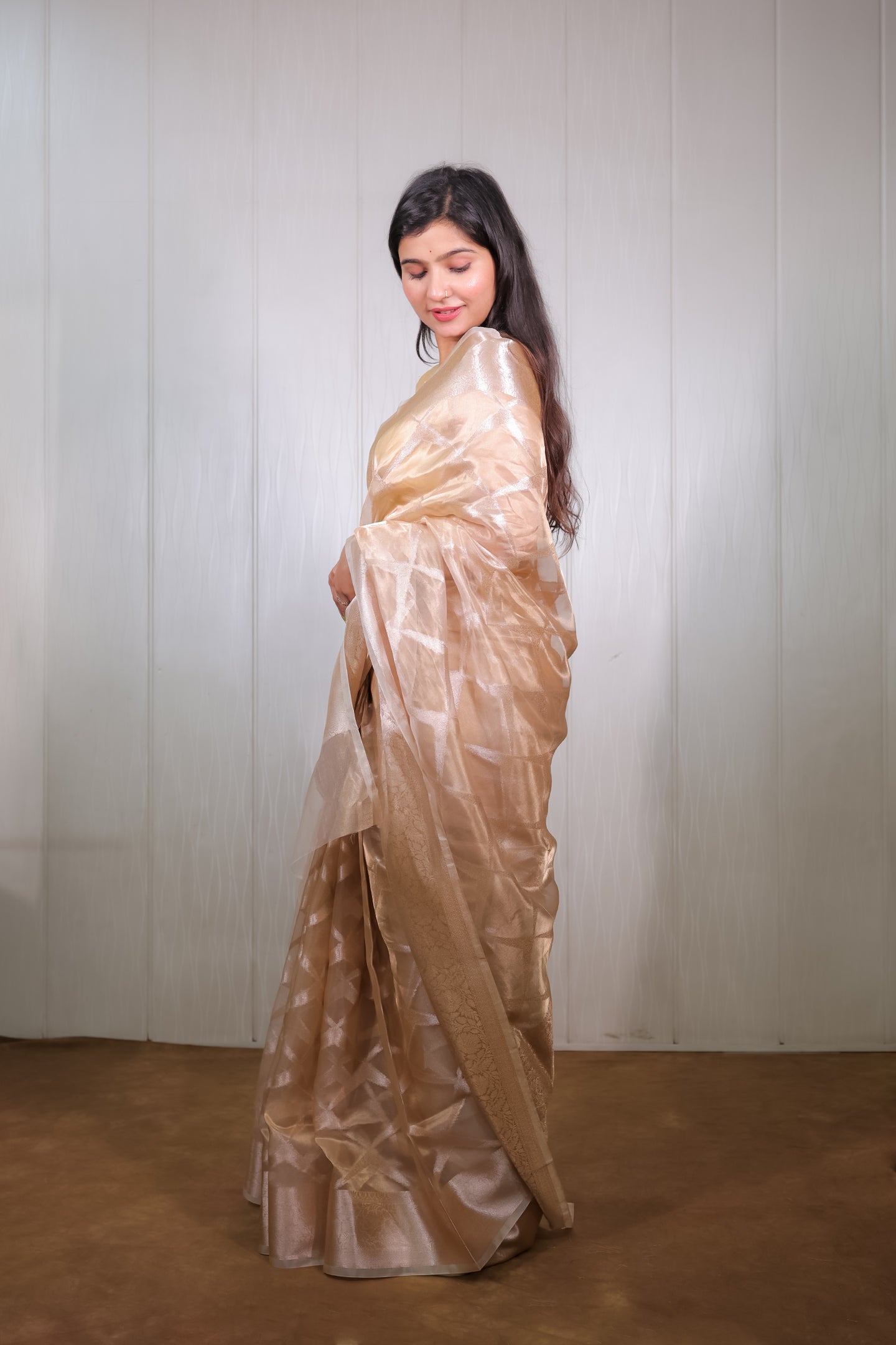 Light Gold Tissue Saree