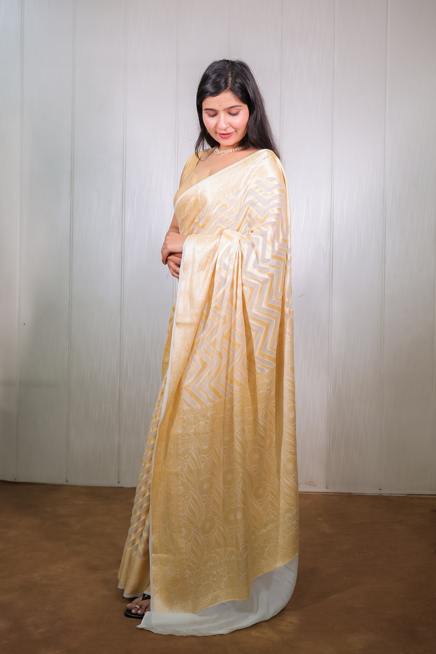 Banarasi Khaddi Chiffon with Resham and Zari